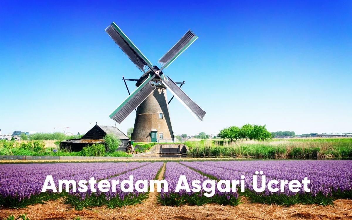 Amsterdam Asgari Ücret